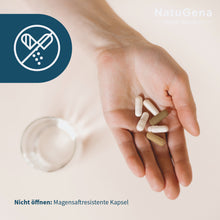 Laden Sie das Bild in den Galerie-Viewer, BactoGena LongVit Darmbakterien Probiotikum mit Akazienfasern
