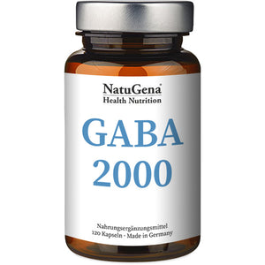 GABA 2000