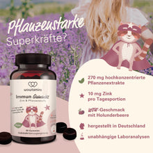 Laden Sie das Bild in den Galerie-Viewer, wowtamins Immun Gummies
